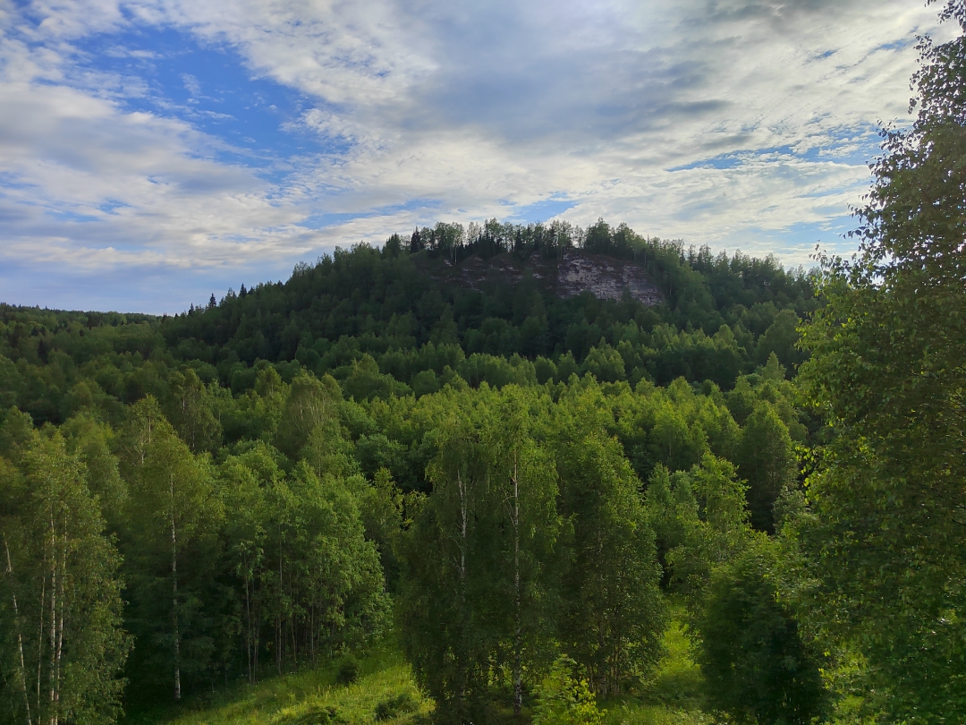 pimg-srchttpsiforum-ruchihonorcomrudataimages1000020227975517107-4634