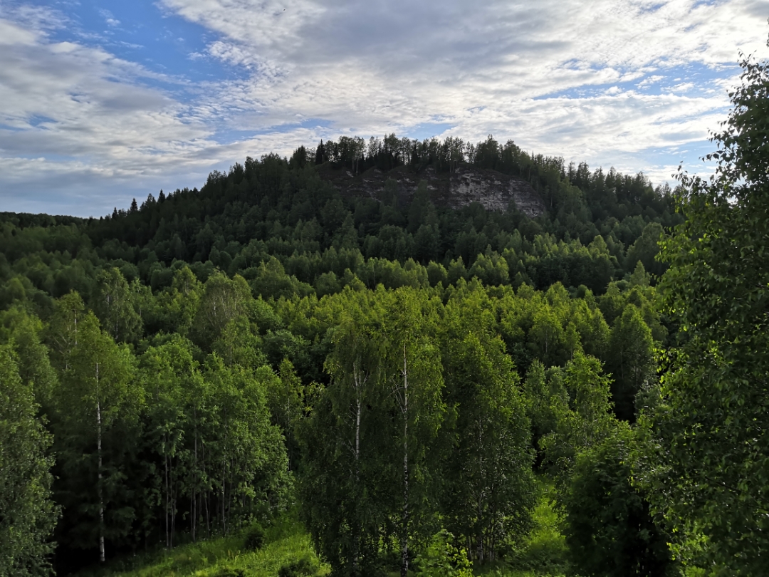 pimg-srchttpsiforum-ruchihonorcomrudataimages1000020227975517107-4634