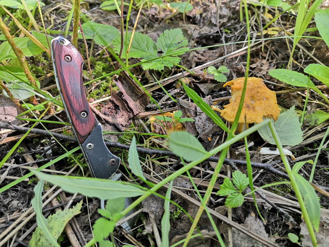 pimg-srchttpsiforum-ruchihonorcomrudataimages1000020227975517107-4634