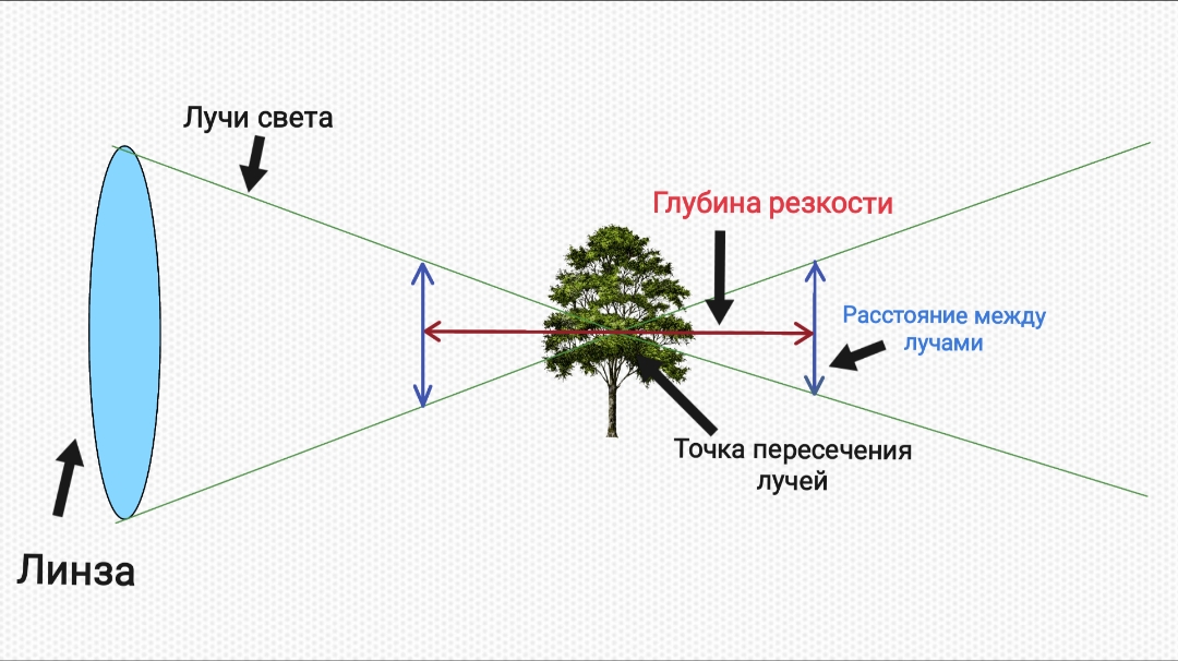 Перевернутое изображение веб камеры: причины и способы устранения