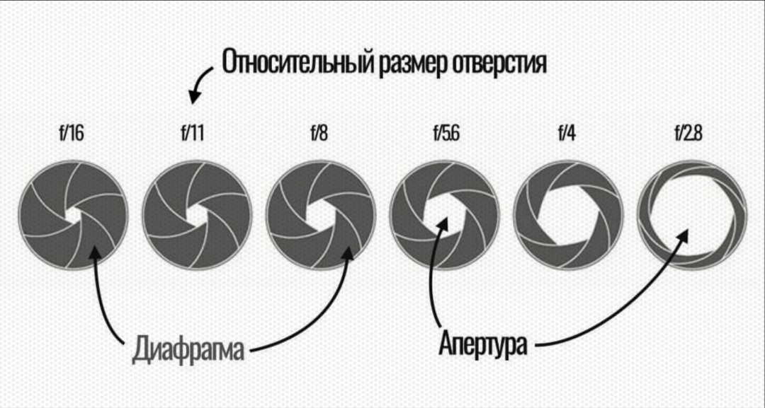 Диафрагма В Фотографии Отвечает За