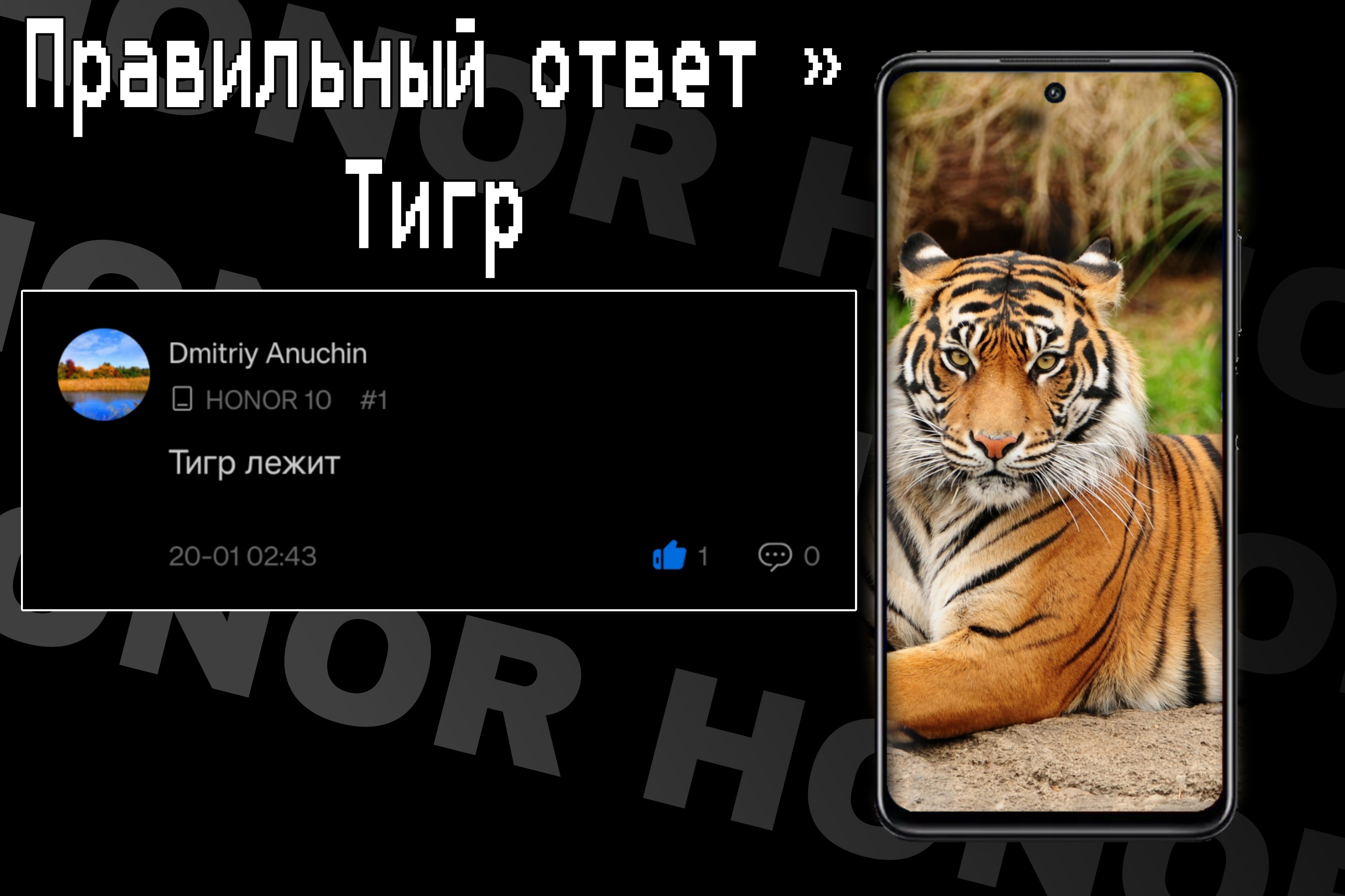 Результаты» Угадай, что на фото! 19/01 - 24/01 | HONOR CLUB (RU)