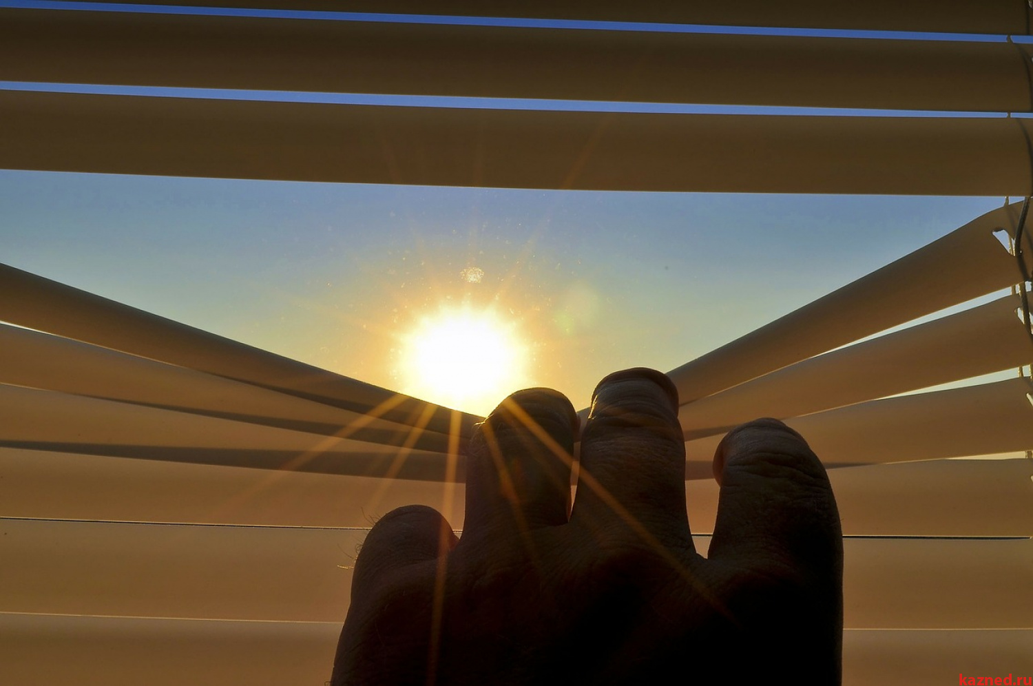 солнечное окно фото