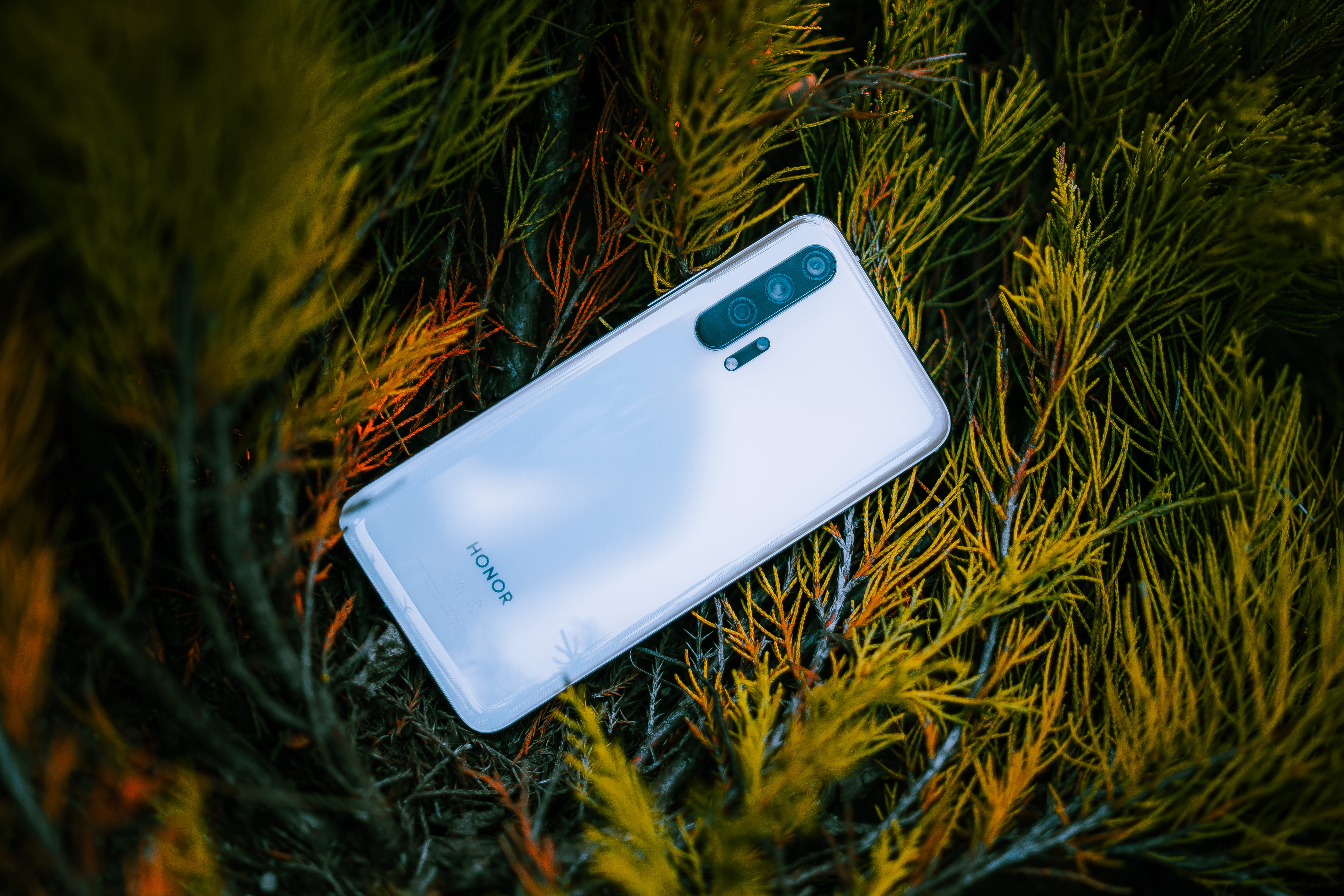 Ультрафиолетовый HONOR 20 pro | HONOR CLUB (RU)