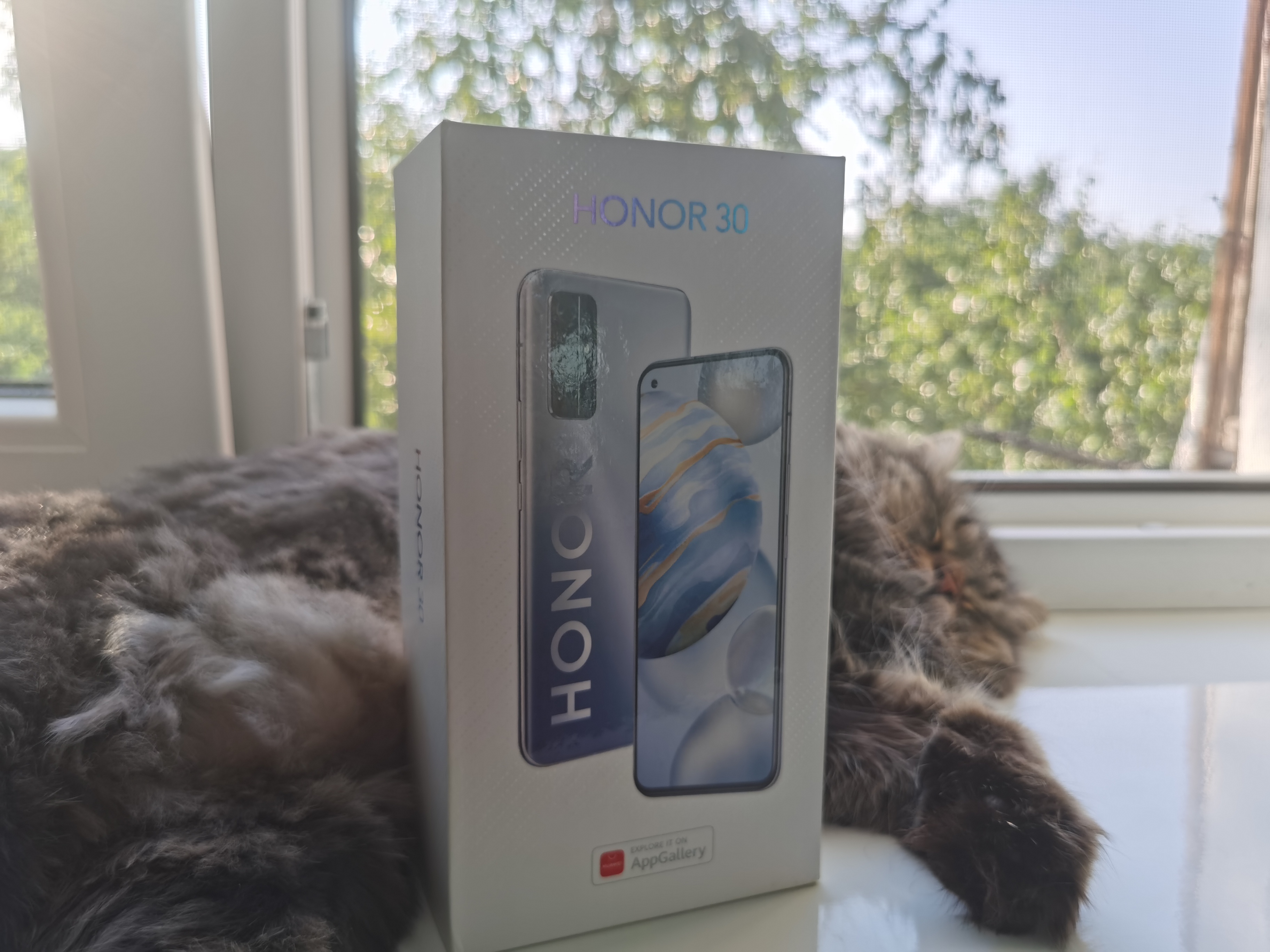 HONOR 30 | HONOR CLUB (RU)