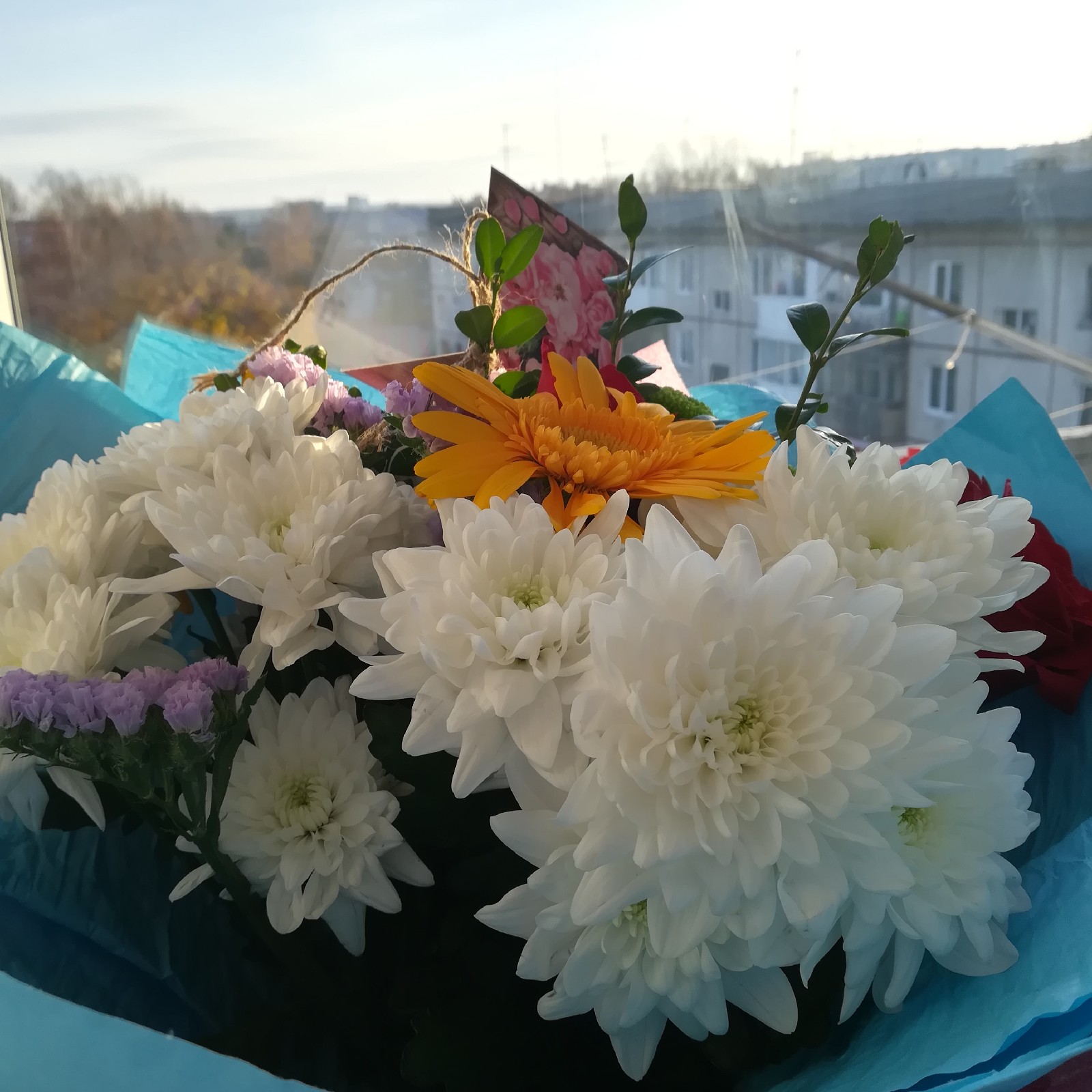 Honor-8-Lite---бюджетная-любовь