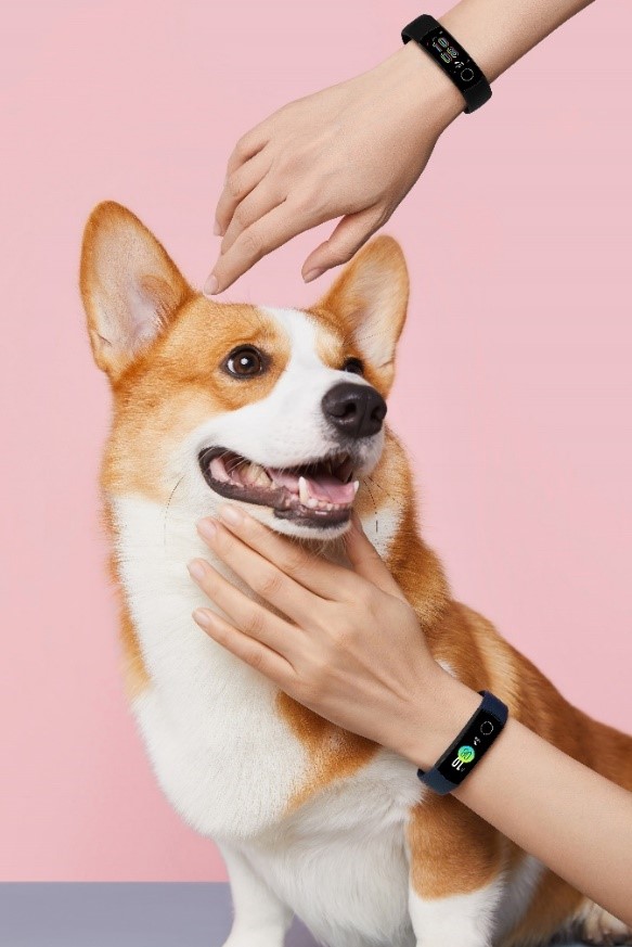 Что-выбрать-HONOR-Band-5-или-HONOR-Band-5-Sport