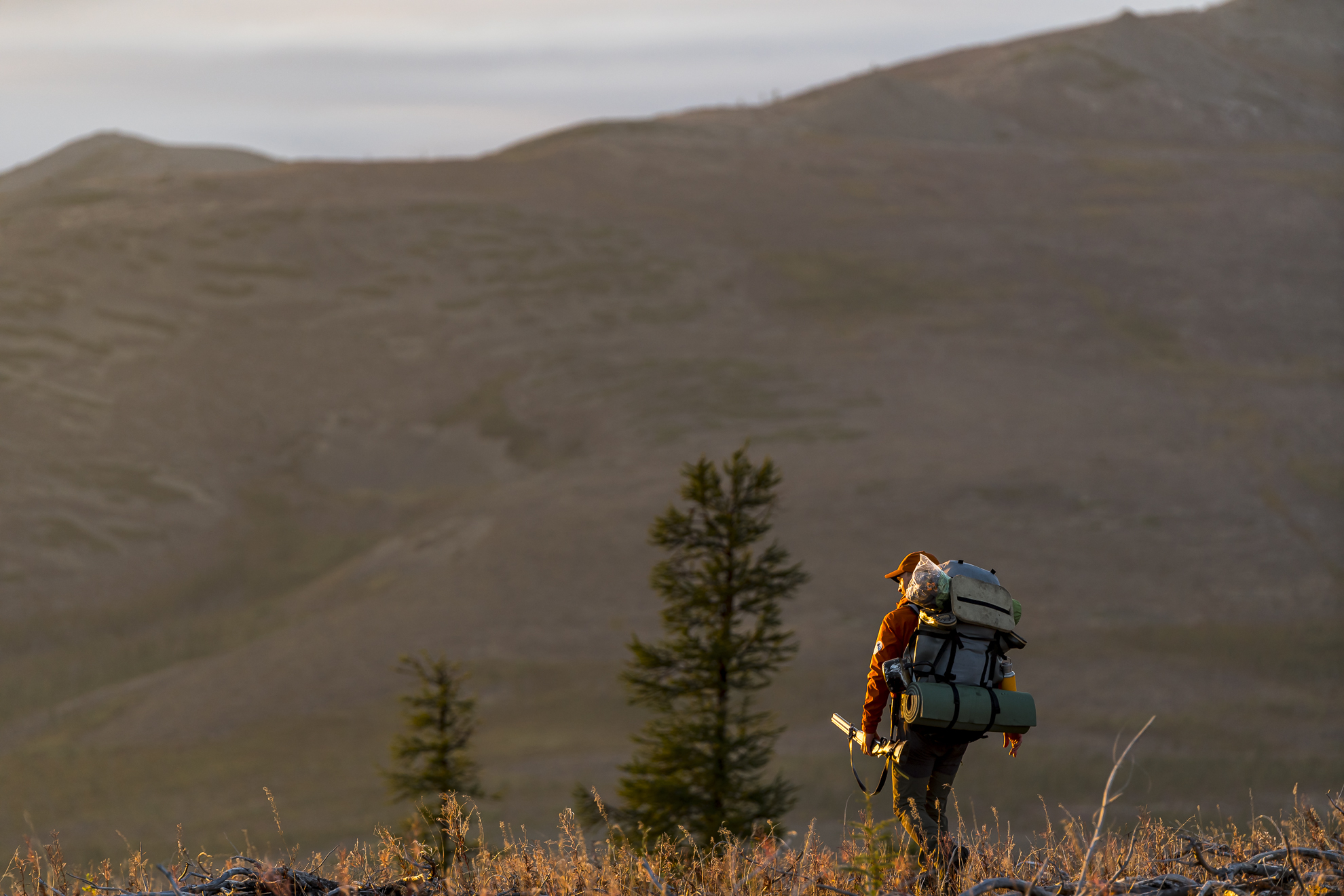 p-styletext-align-leftspanbrbrstrongКак-Honor-изменил-мою